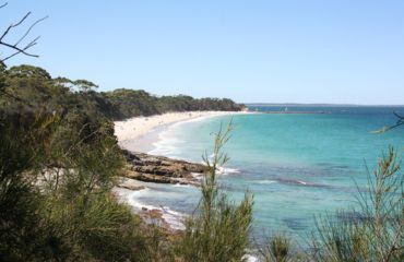 Jervis Bay Day Tours from Sydney