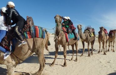 Nelson Bay Day Tours from Sydney