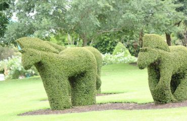 Hunter Valley Day Tours from Sydney